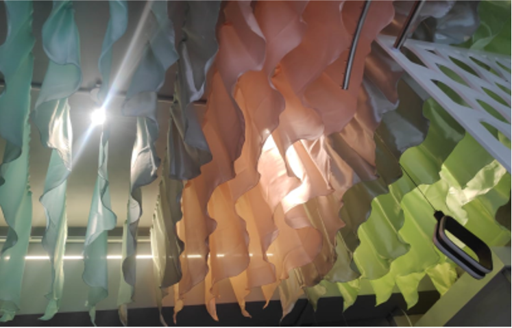 Shank: A Boutique Shop